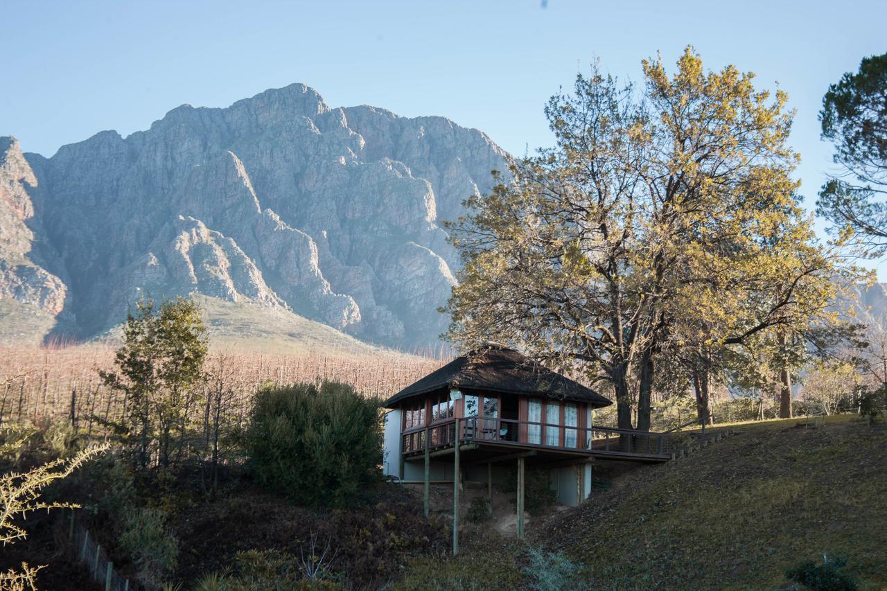 Гостьовий будинок Tulbagh Mountain Manor Кейптаун Екстер'єр фото