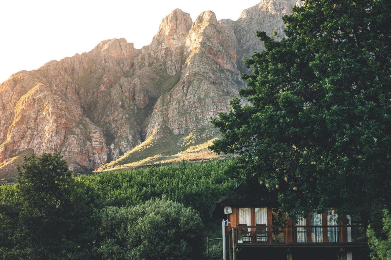 Гостьовий будинок Tulbagh Mountain Manor Кейптаун Екстер'єр фото