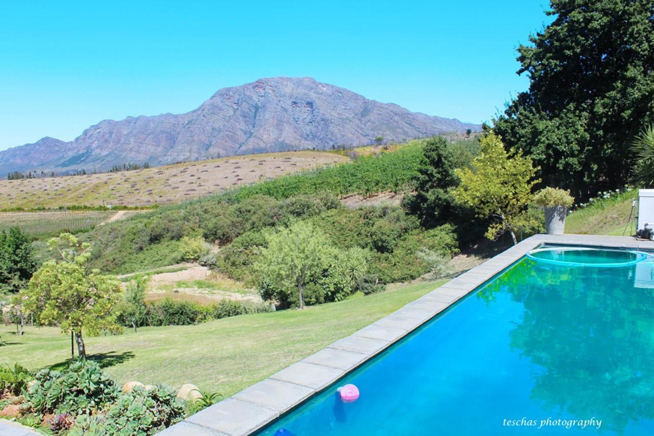 Гостьовий будинок Tulbagh Mountain Manor Кейптаун Екстер'єр фото